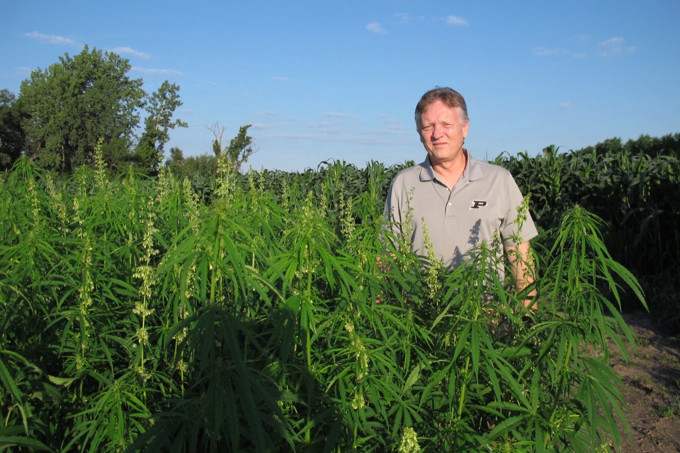 Let's get Hemp-notized!